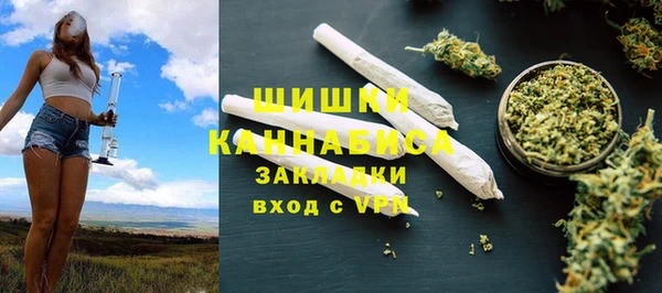 стаф Медногорск