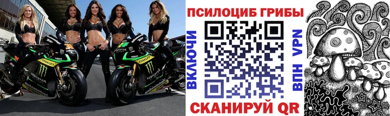 Галлюциногенные грибы мицелий Луза